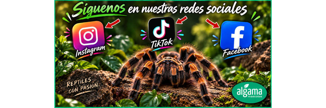 Redes sociales